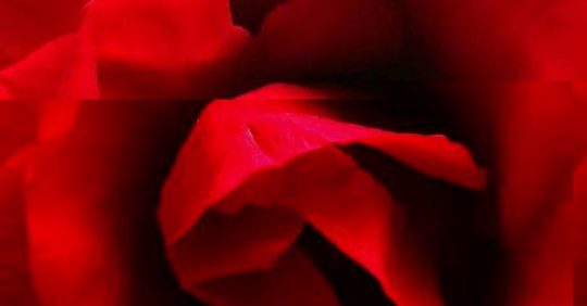 safe_imageFR7O97LC.jpg