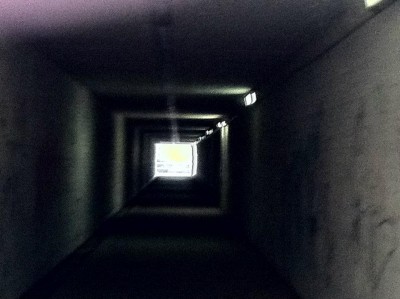 393702_242823662440532_770629923_n.jpg