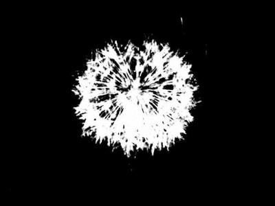 33964654_1780242292031987_3842308215794565120_n.jpg