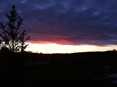 IMG_5330.JPG