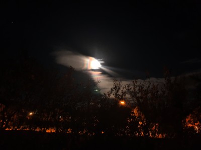 20201102_201323.jpg
