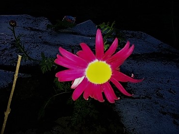 534444_371198642936366_913649434_n (2).jpg