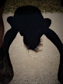 [003376].jpg