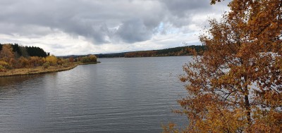 20211102_115608.jpg