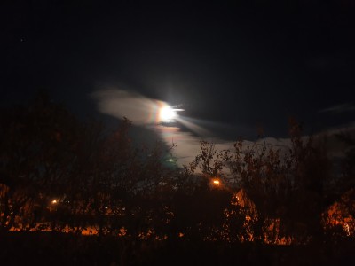 20201102_201229.jpg