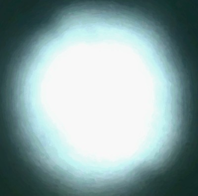 20250323_122200.jpg
