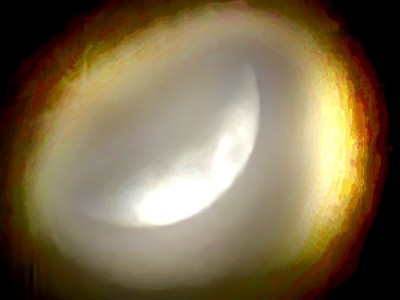 20260324_195347(2).jpg